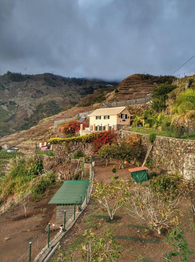 Quinta Terezinha Villa Ribeira Brava Eksteriør bilde